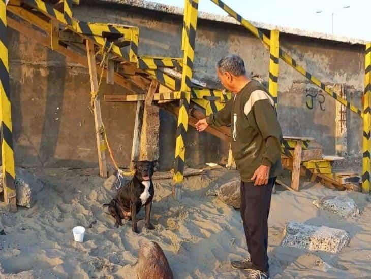 Rescatan a perrito en playa de Boca del Río; lo adoptan turistas