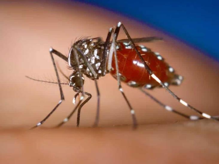 Se incrementaron los casos y defunciones por dengue en Veracruz