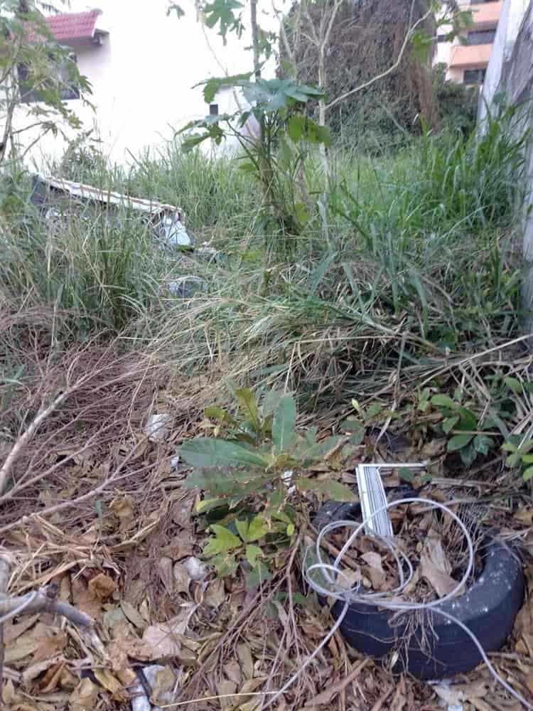 Basura, chatarra y terreno abandonado afecta en Boca del Río