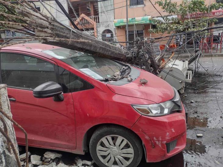 Cae transformador sobre coche por fuertes vientos de norte en Veracruz (+Video)