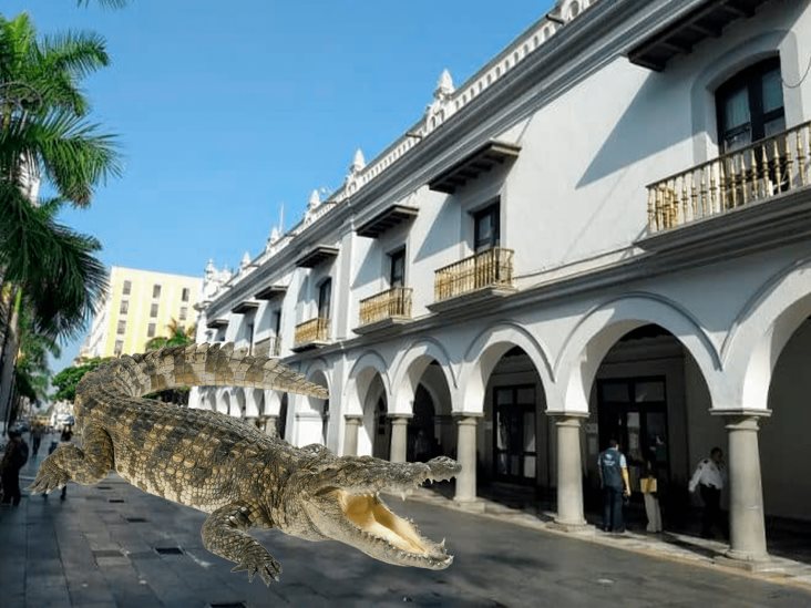 Sorprende cocodrilo en el Zócalo de Veracruz; se salió de la laguna Malibrán