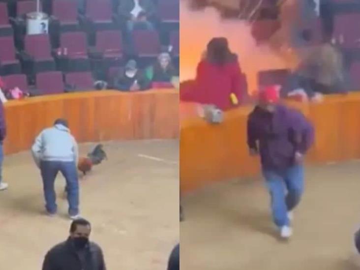 Explota granada durante pelea de gallos en Hidalgo (+Video)