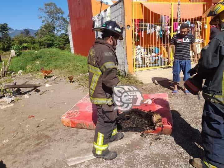 Conato de incendio en vivienda de Fortín moviliza a bomberos