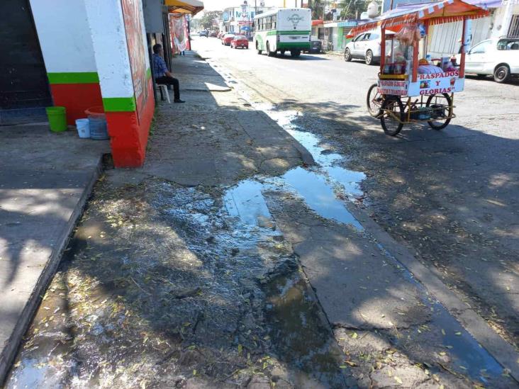Urgen a CAB por aguas negras estancadas en Boca del Río