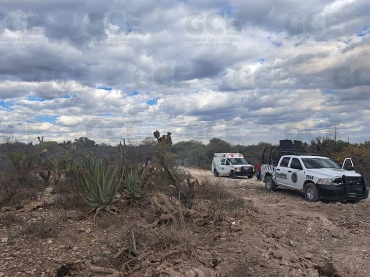 Cae avioneta en San Luis Potosí; habrían dos muertos