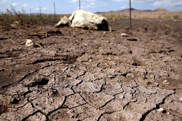 2022, segundo año con menor lluvia acumulada desde 1981: Conagua
