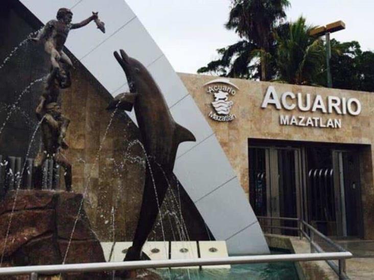 Especies del Acuario de Mazatlán llegarían al Aquarium de Veracruz en 2023