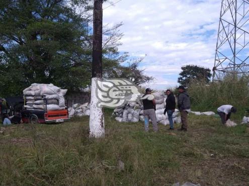 Vuelca tráiler en la Veracruz-Córdoba; se desata rapiña y roban toda la carga