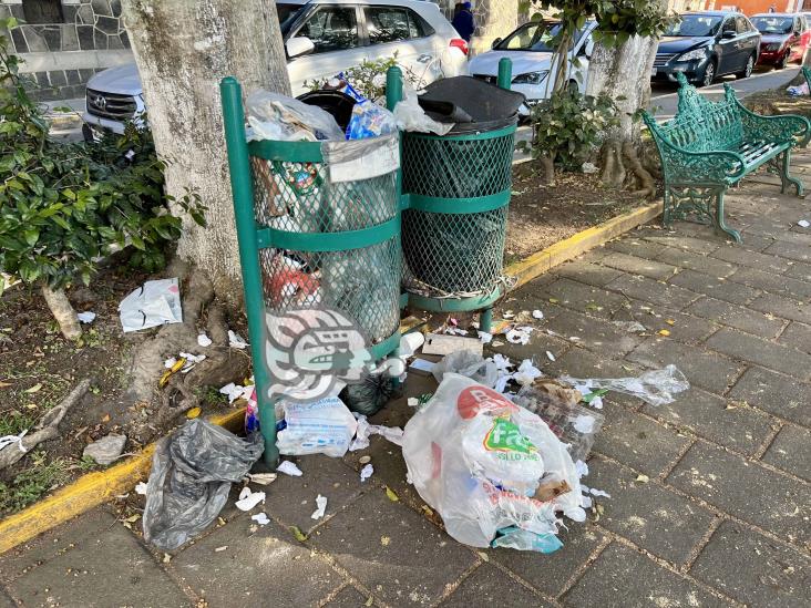 En Xalapa, vecinos y pepenadores convierten el parque Morelos en un basurero
