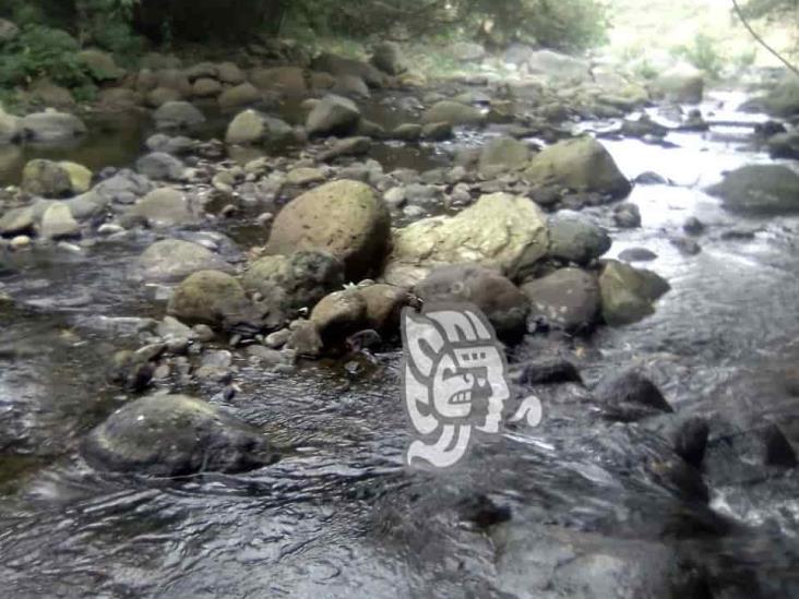 Denuncian ecocidio por envenenamiento de arroyo Las Cañas, en Yecuatla