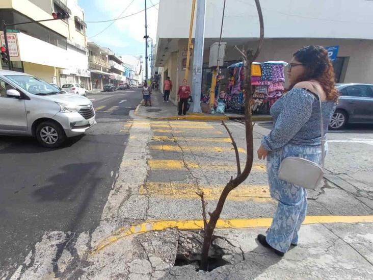 Con ramas, habitantes señalizan una banqueta en mal estado en calles del centro de Veracruz