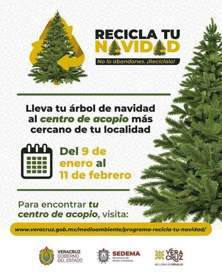 Después de los tamales, no olvides lleva tu arbolito a reciclar