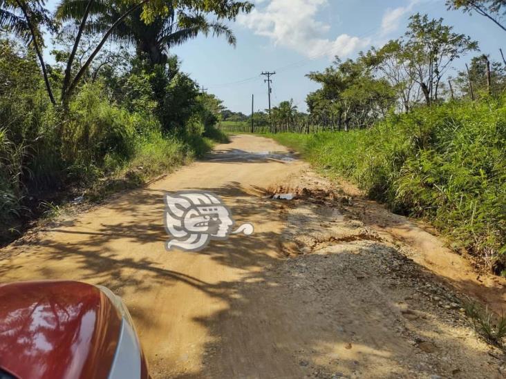 Lluvias destruyen caminos en el área rural de Minatitlán