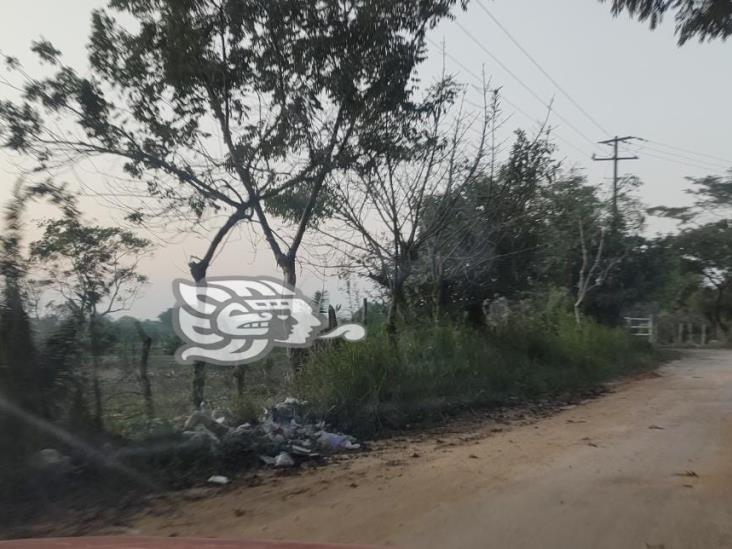 Caminos de Moloacán son usados como basureros clandestinos 