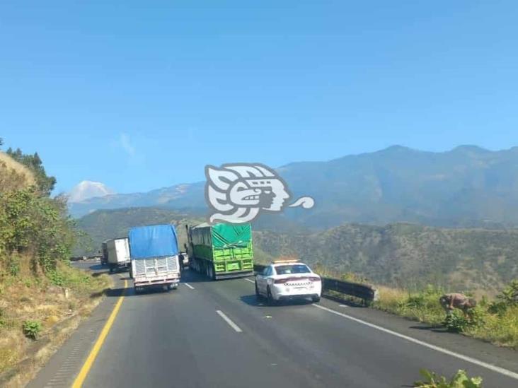 ¡Atento! Accidentes en autopista Puebla-Veracruz generan filas de hasta 33 kilómetros