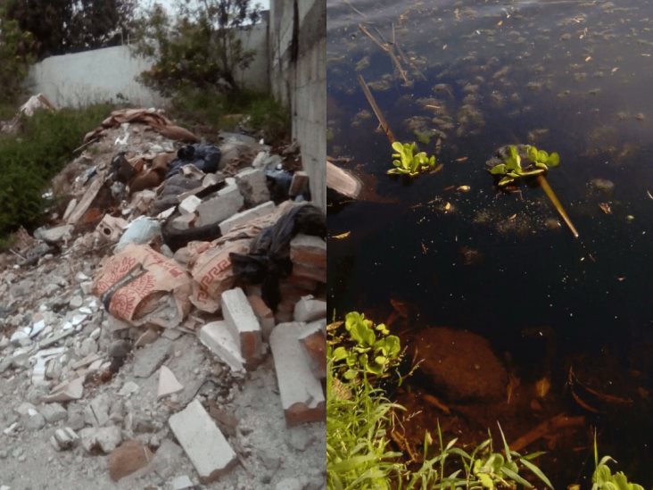 Vecinos denuncian terreno baldío abandonado y posible ecocidio en colonias de Veracruz