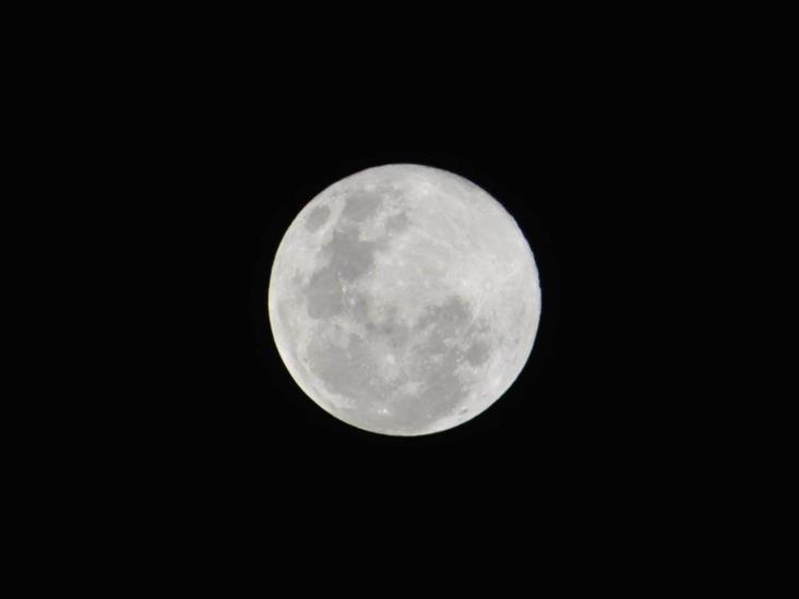Luna llena Lobo ilumina el cielo veracruzano