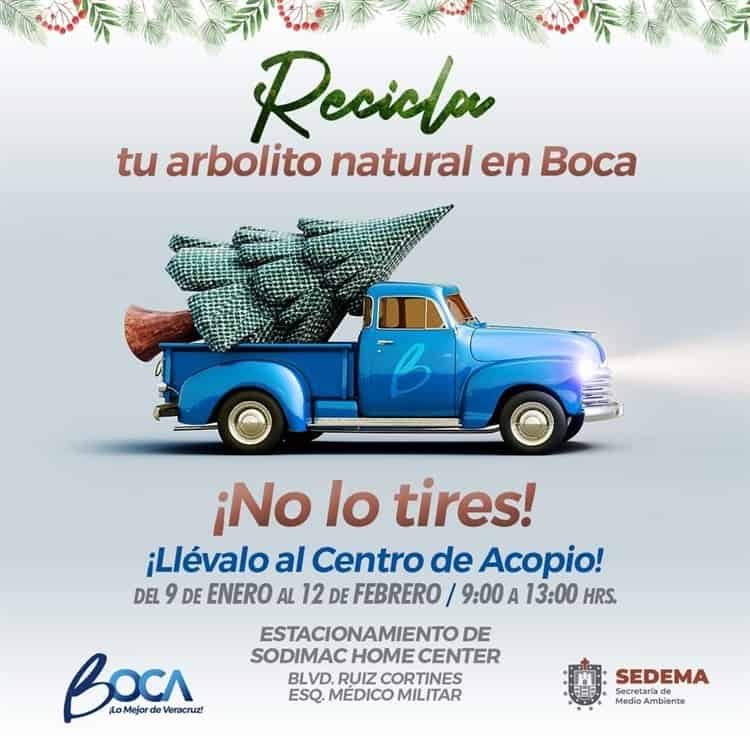 ¿Vas a tirar tu árbol de Navidad natural? Boca del Río instalará un centro de reciclaje