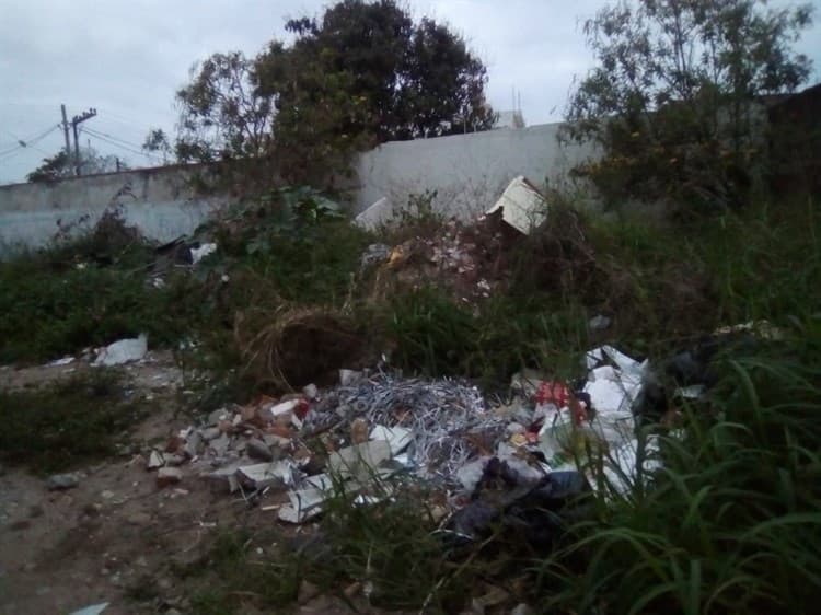 Vecinos denuncian terreno baldío abandonado y posible ecocidio en colonias de Veracruz