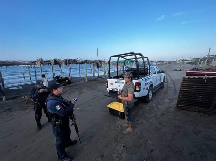 Denuncian venta ilegal de iguanas en playas de Veracruz