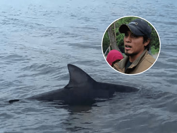 Tiburón “aleta de cartón” avistado en Alvarado es común en esas aguas: Earth Mission
