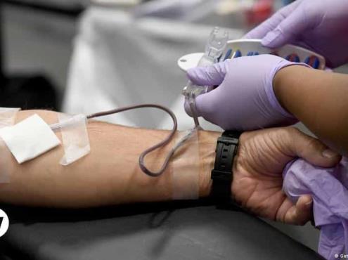 Alemania reformará criterios para homosexuales en donaciones de sangre
