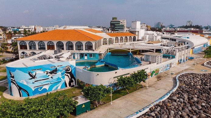 Aquarium de Veracruz tendrá área de lobos marinos; obras inician este año