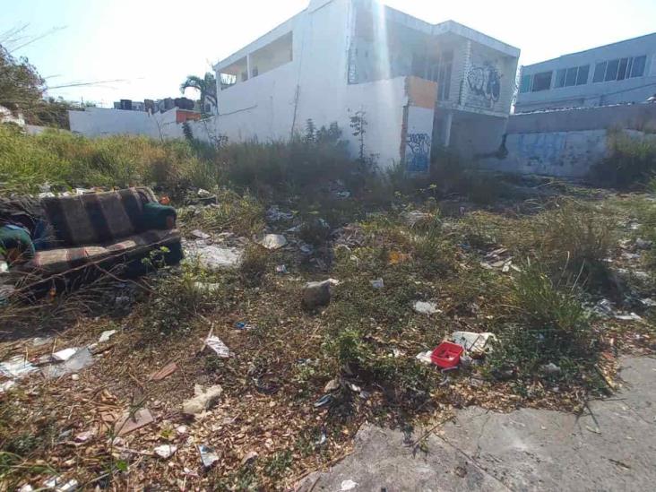 Terreno abandonado genera inseguridad para vecinos de la colonia Ortiz Rubio
