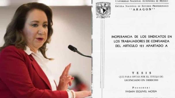 Busca Yasmín Esquivel Amparo Contra Comité De Ética Unam