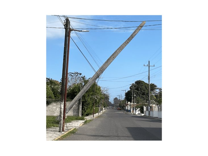 Norte tira palma y queda colgada entre cables en La Antigua