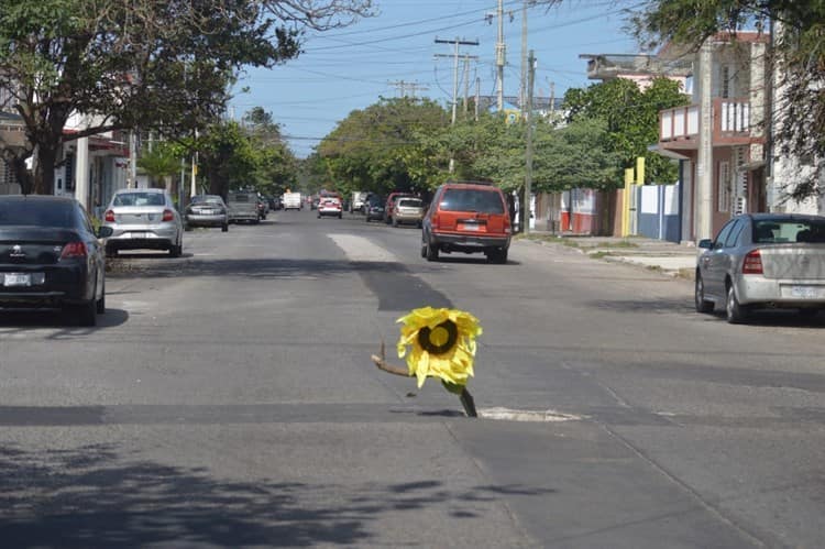 Con adorno de girasol y ramas señalizan registro sin tapa y socavón en dos colonias de Veracruz