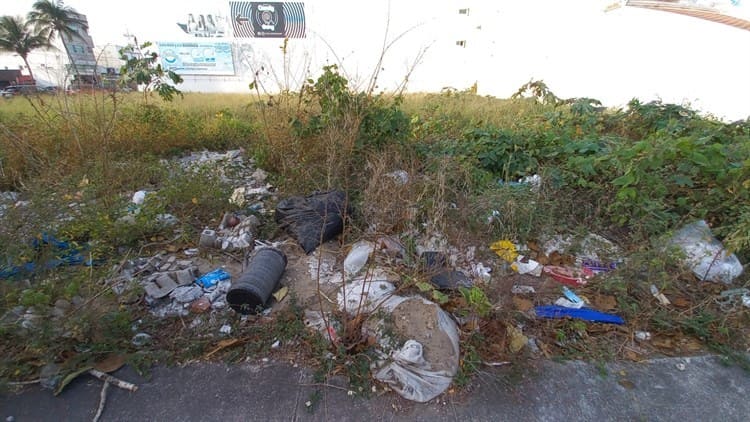 Alertan sobre malos olores que despide un terreno lleno de basura y desechos en Boca del Río