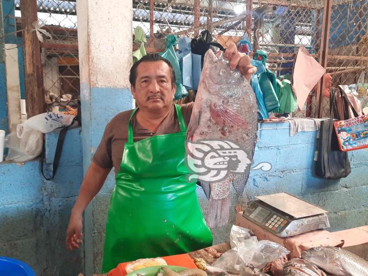 Pescados que se venden en Agua Dulce es de Chiapas y Tabasco alcanzan hasta los 7 kilos