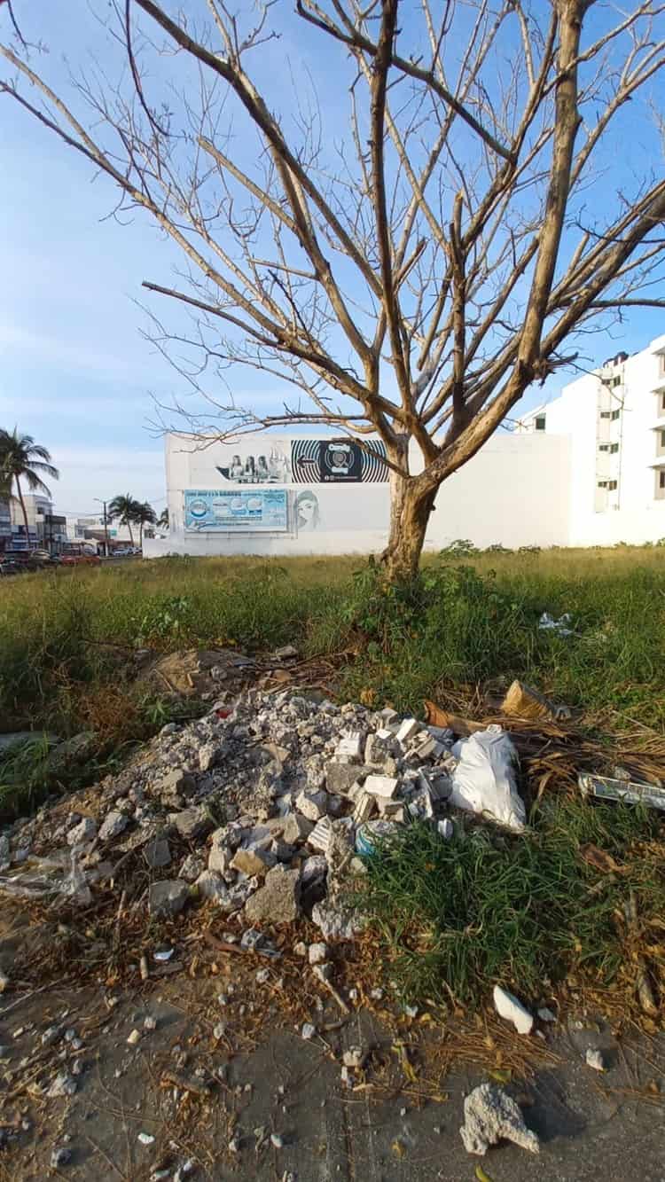Alertan sobre malos olores que despide un terreno lleno de basura y desechos en Boca del Río