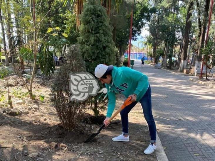 Siembran pinos de ‘Recicla tu Navidad’ en Alameda de Camerino Z. Mendoza