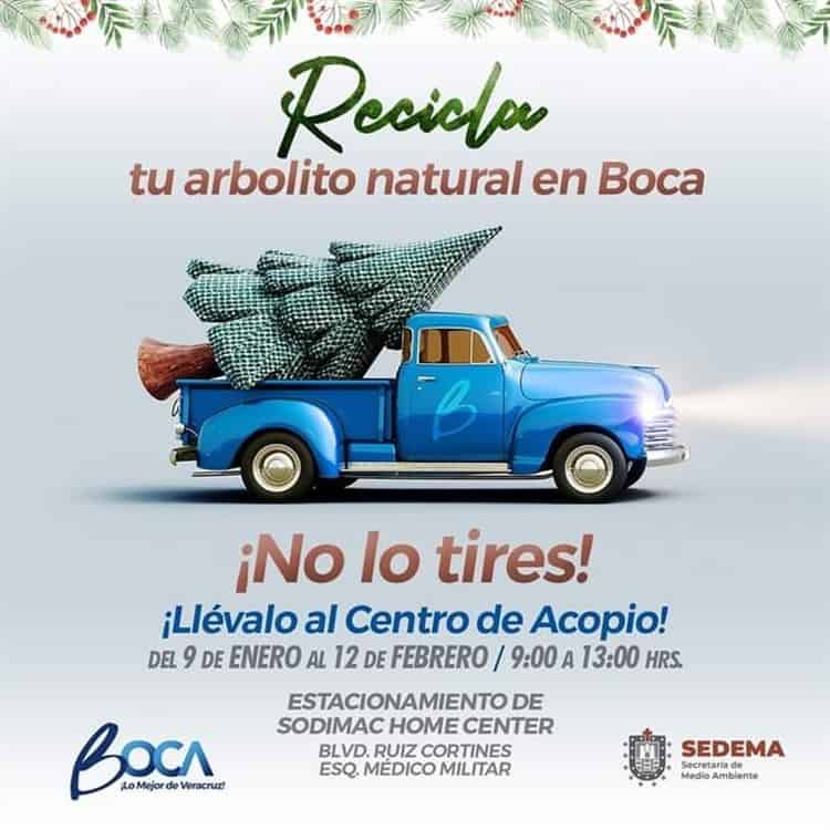 Estos son los centros de acopio de arbolitos de Navidad en Veracruz, Boca del Río y Medellín