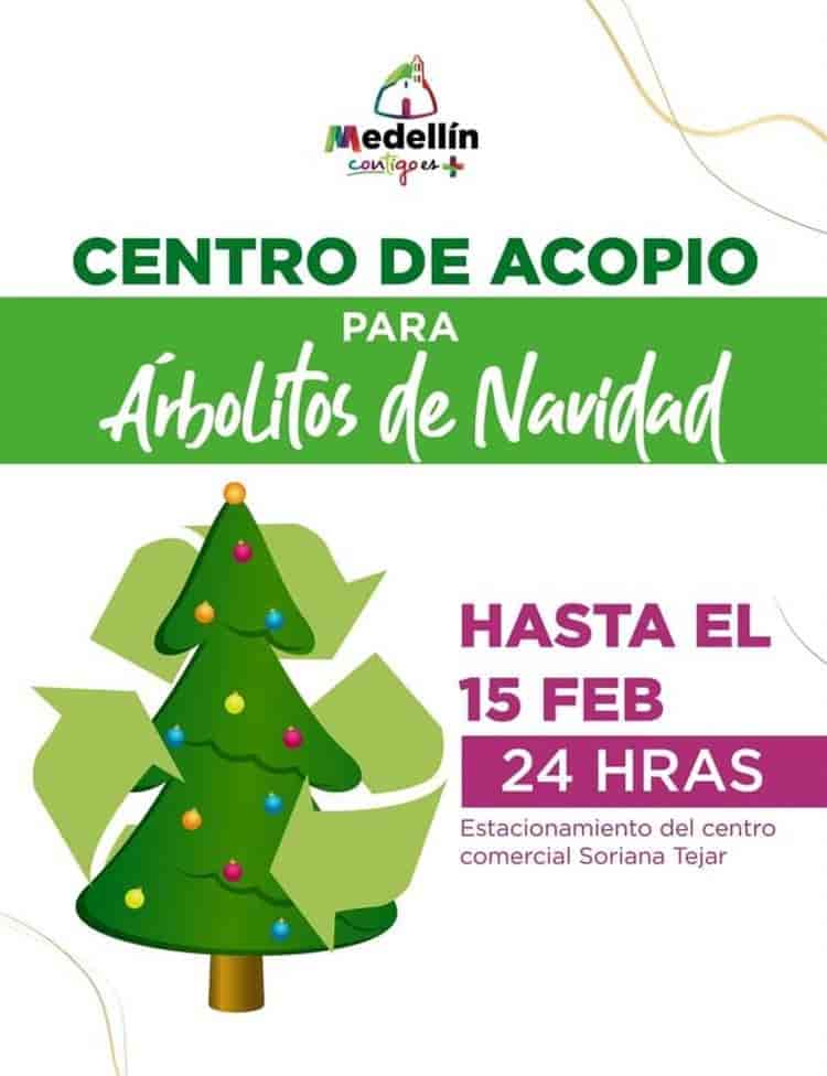 Estos son los centros de acopio de arbolitos de Navidad en Veracruz, Boca del Río y Medellín