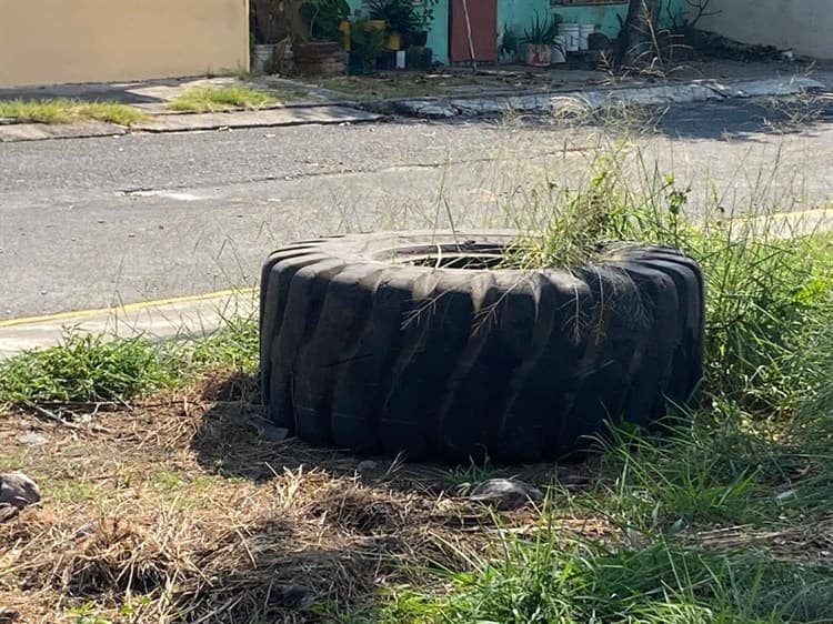 Parque en colonia Vista Mar en Veracruz, vulnerable a abusos sexuales y asaltos(+Video)