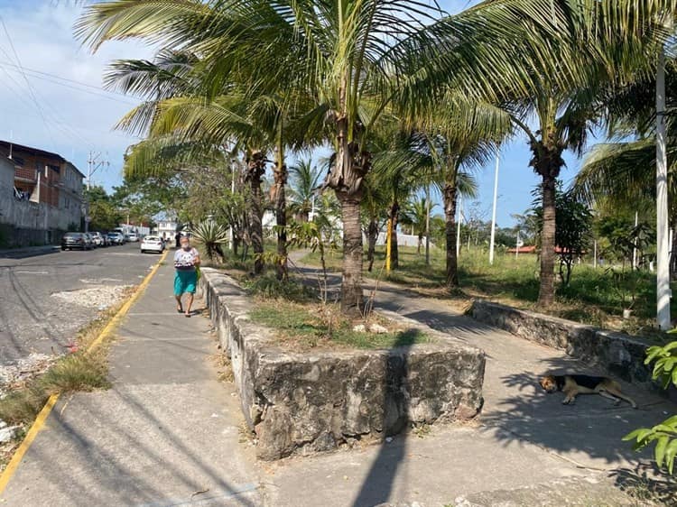 Parque en colonia Vista Mar en Veracruz, vulnerable a abusos sexuales y asaltos(+Video)