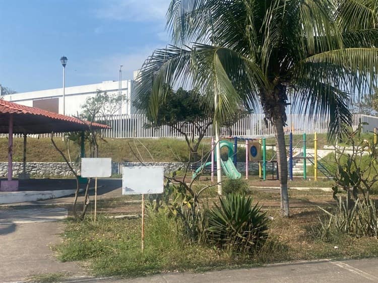 Parque en colonia Vista Mar en Veracruz, vulnerable a abusos sexuales y asaltos(+Video)