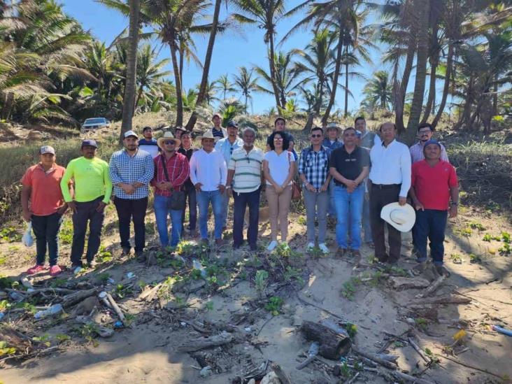 Ayuntamiento de Coatzacoalcos impulsa certificación de “Campamento Tortuguero”