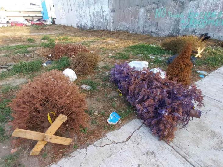 Ocupan terreno en Boca del Río como basurero para dejar arbolitos de Navidad