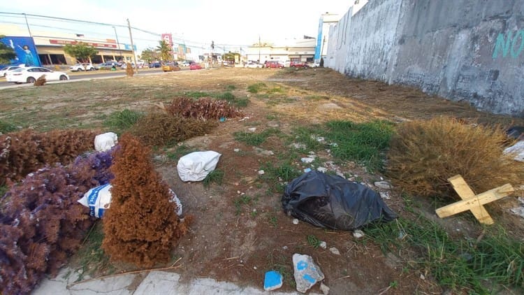 Ocupan terreno en Boca del Río como basurero para dejar arbolitos de Navidad