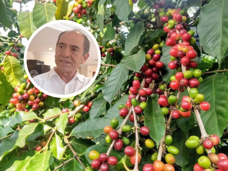 Productores de café buscan organizarse para acabar con el control de precios