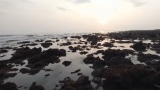 Se retira el mar en Boca del Río (+video)