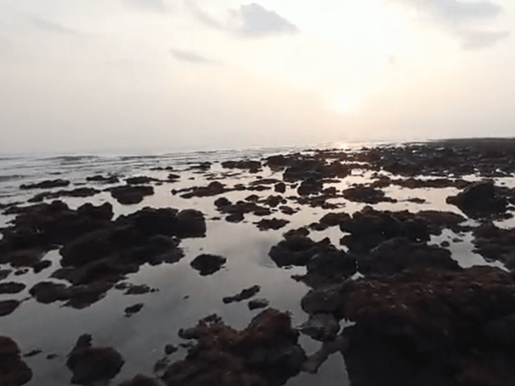 Se retira el mar en Boca del Río (+video)