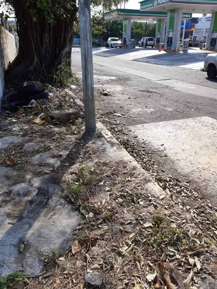 Urge reparar banqueta en mal estado y llena de basura en calles de Veracruz