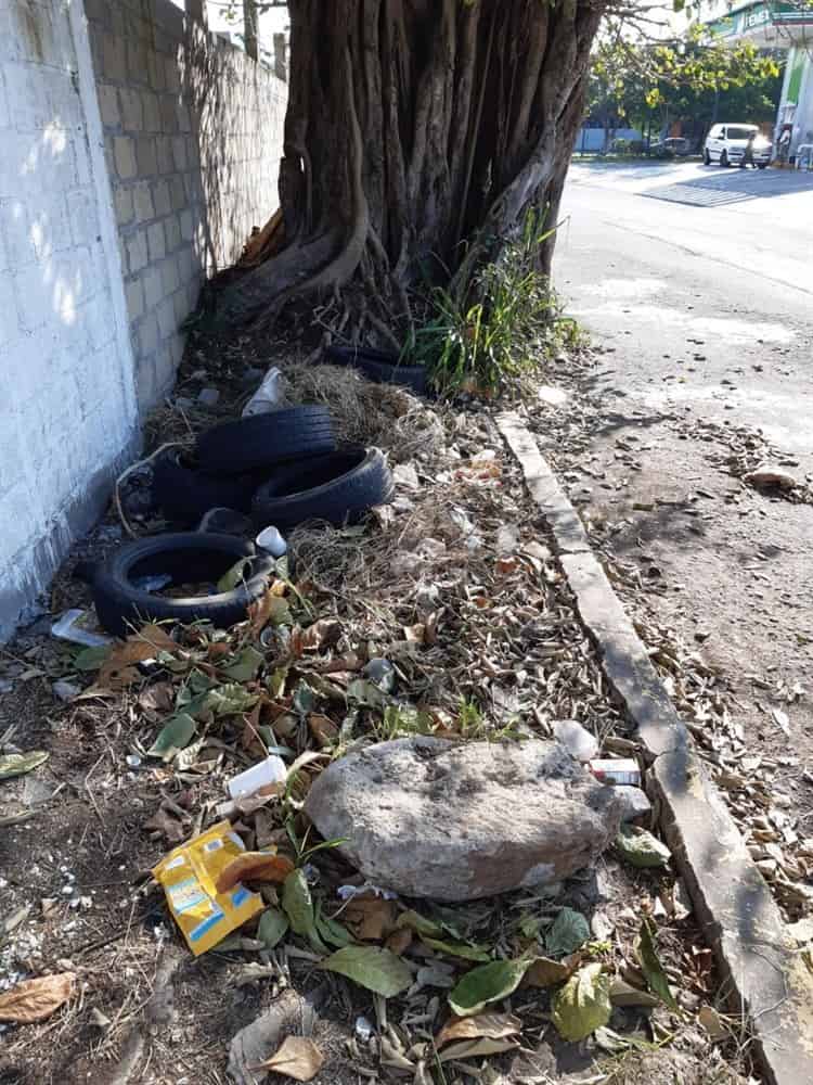 Urge reparar banqueta en mal estado y llena de basura en calles de Veracruz