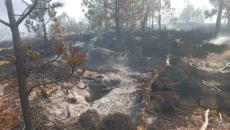 Se registra incendio en Parque Nacional Pico de Orizaba (+Video)