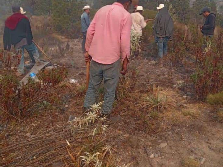 Se registra incendio en Parque Nacional Pico de Orizaba (+Video)